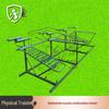 Golden Ant Guard Outdoor Fitness Training Equipment