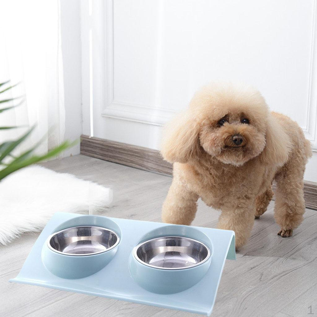 and cat Feeder Stainless Steel Bowls, Tilted Raised Food Nonslip Pet Feeding Bowls Blue L_29x18.5x6.2cm