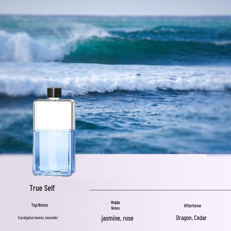 Diffusore di Aroma Intelligente Ricaricabile: Umidificatore Automatico a Spruzzo con Timer per Fragranze d'Ambiente e Rimozione Odori del Bagno
