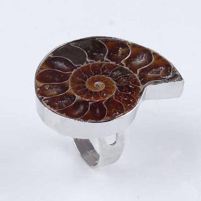 Unique Adjustable Ring Fashion Natural Ammonite Reliquiae-Finger Ring Jewelry Natural Fossil-Shell-Ring Women Girl Teen