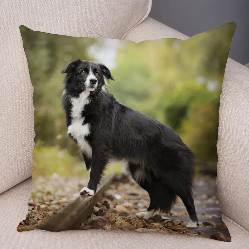 Cute Pet Animal  Cushion Cover Scotland Border Collie Pillowcase for Sofa Car Decor Dog Printed Soft Plush Pillow Case