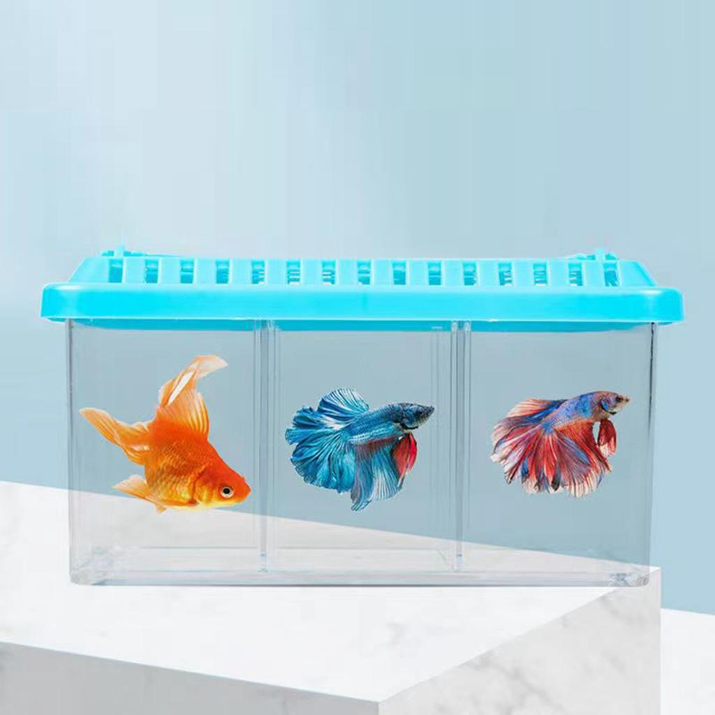 Acrylic Fish Tank Detachable 3 Areas Small Aquarium Desktop Ornamental Transparent Fish Tank for Hom