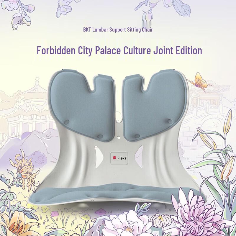 BKT Ergonomic Lumbar Support Cushion