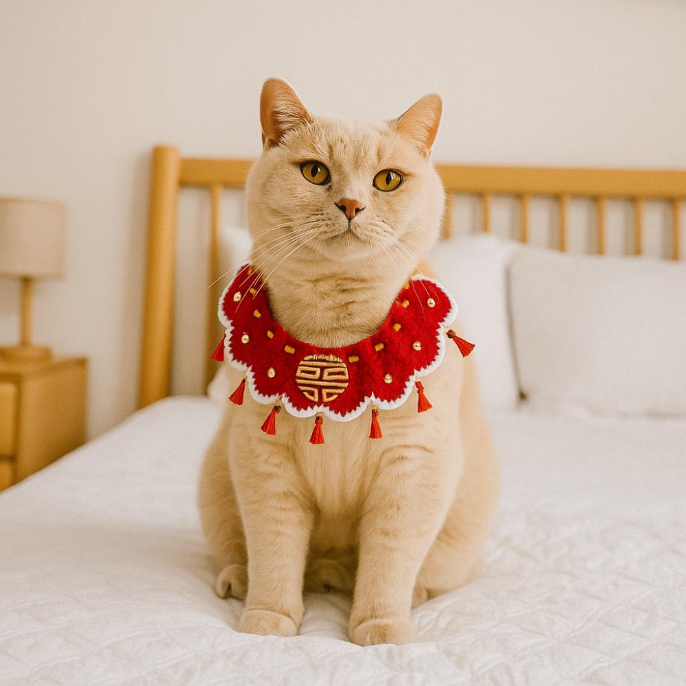 Schnürstil Katze Handgestrickter Schal Dekoratives Haustier Sabbertuch Neujahr Haustierhalsband Hochzeit