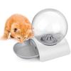 Pet Water Dispenser