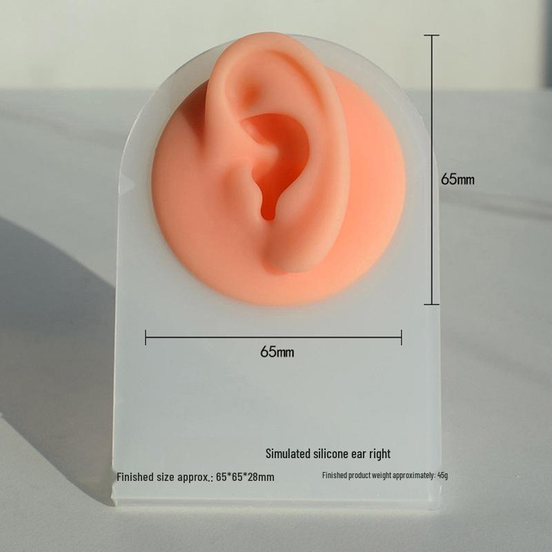 Silicone Ear Model for Piercing Jewelry Display