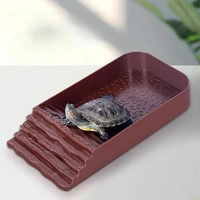 Reptiles – Terrarium pour reptiles