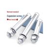 Jinying Galvanized M12 Expansion Anchor Bolt