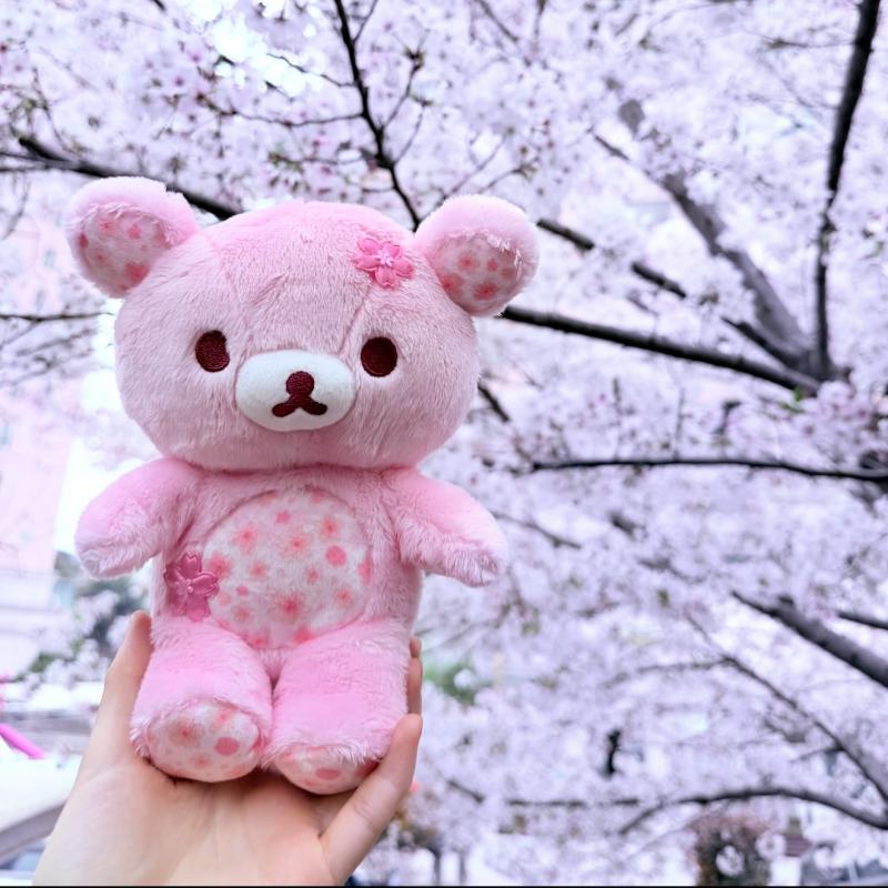 30/40/50cm Sakura Rilakkuma Plush Toy Soft Kawaii Cartoon Cherry Blossom Bear Doll Cute Stuffed Animal Basic Style Kids Gift
