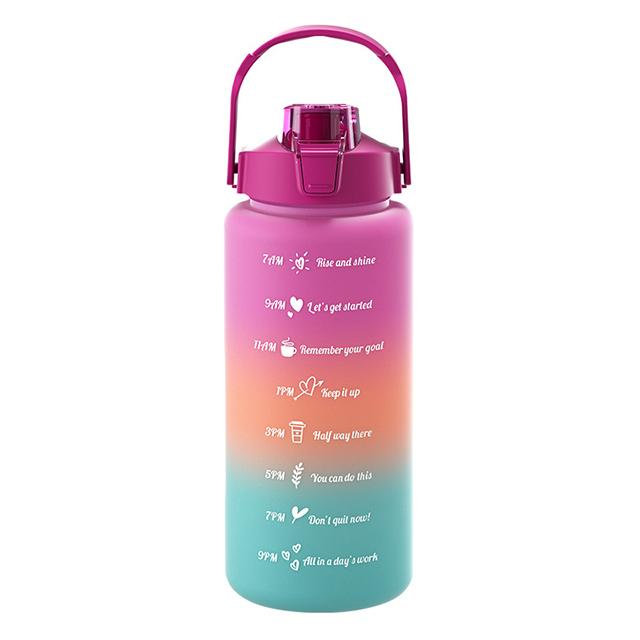 Large Capacity Sports Water Bottle With Straw Portable Handle Heat-resistant Outdoor Frosted Plastic Gradient Color Space Kettle