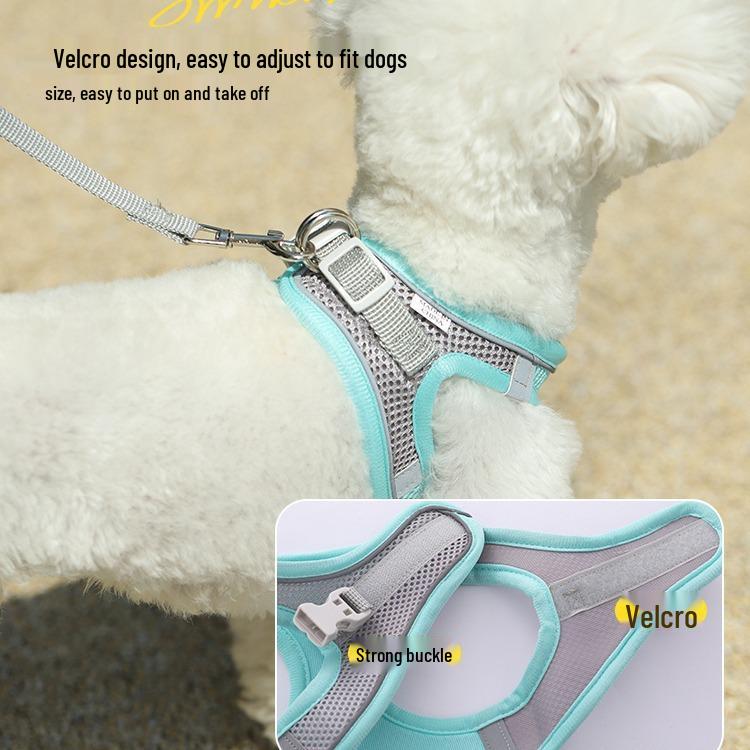 Breathable Vest-Style Pet Harness & Leash for Small Dogs & Cats