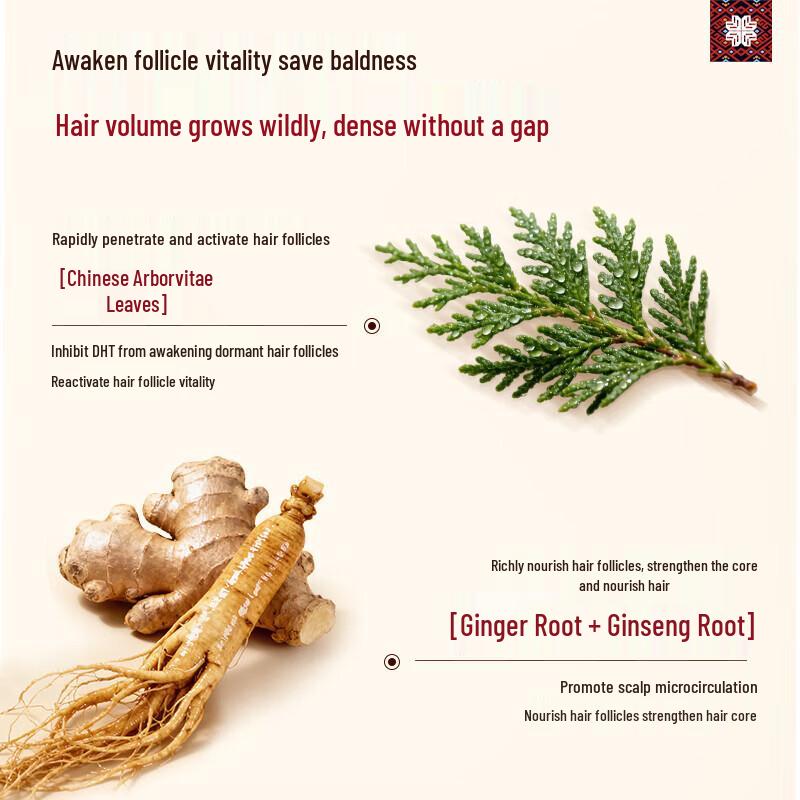 Changfaxiaozhai Anti-Hair Loss & Oil Control Volumizing Shampoo 400g