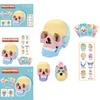 4d Human Skull Model Detachable Specimen Cranium Model Educational Toy