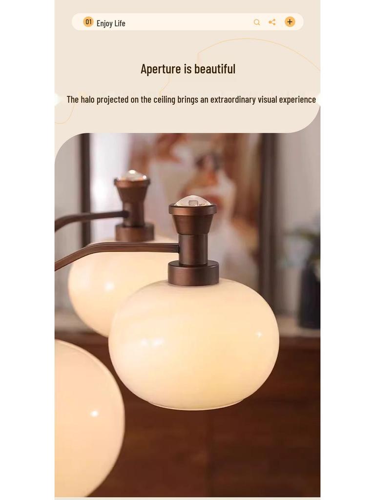 French Retro Nanyang Style Chandelier for Living Room, Restaurant, or Bedroom