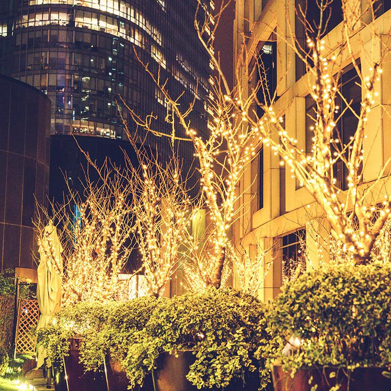 OEING LED String Lights