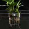 Aquarium transparent plant decoration bracket, water grass cup, multi plant hydroponic basket for fish tank landscape