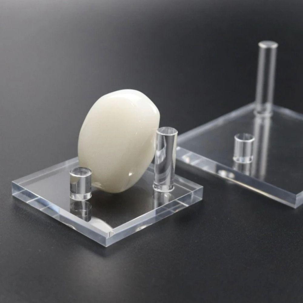 Clear Display Easel Stand Acrylic Coral Holder Organizer Accessories Display Holder  Collectibles