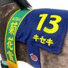 Thoroughbred Collection Fluffy Big Plush H35 X W18 X D45cm Toy, Approx. (Kiseki)