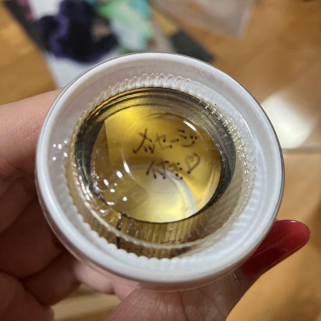 [USED] BIGBANG JAPAN Hooded Sweatshirt