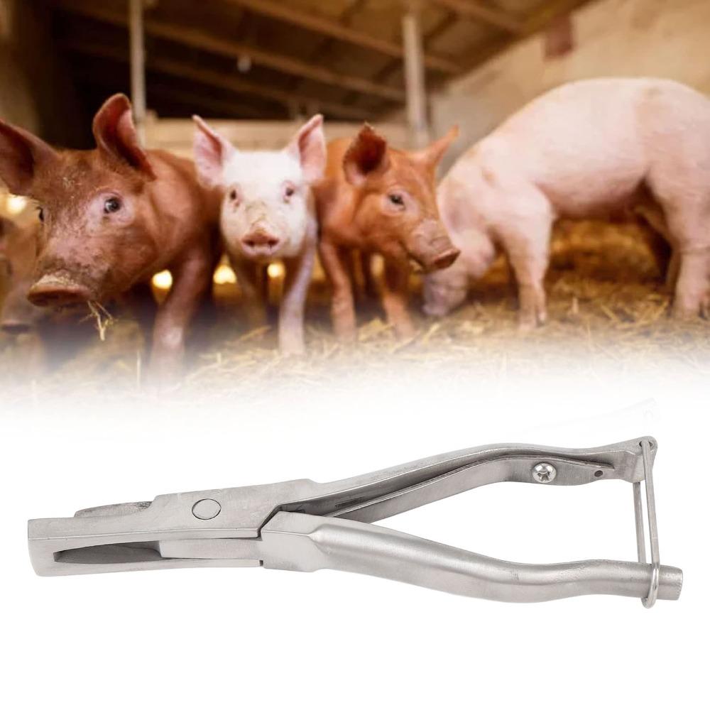Stainless Steel Construction Livestock Identification Pliers Breeding Site