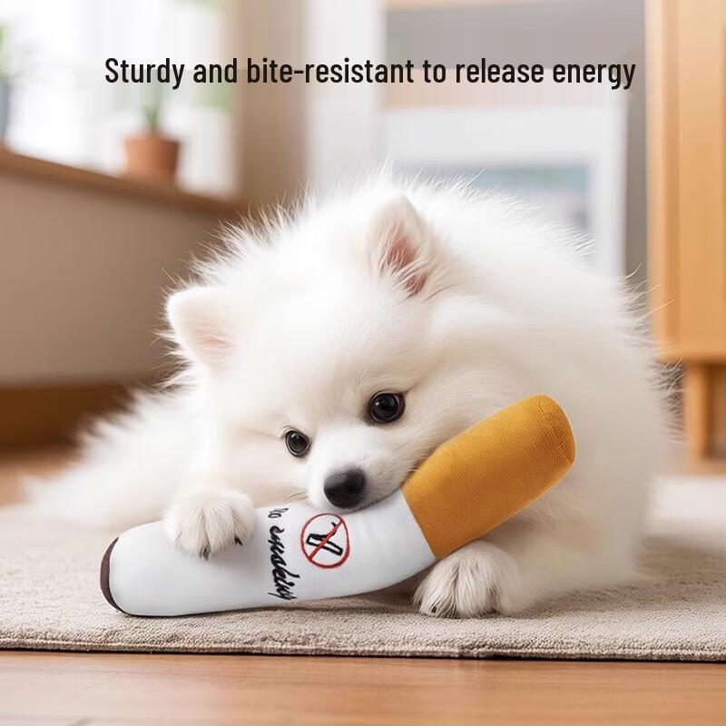 Squeaky Plush Dog Teething Toy