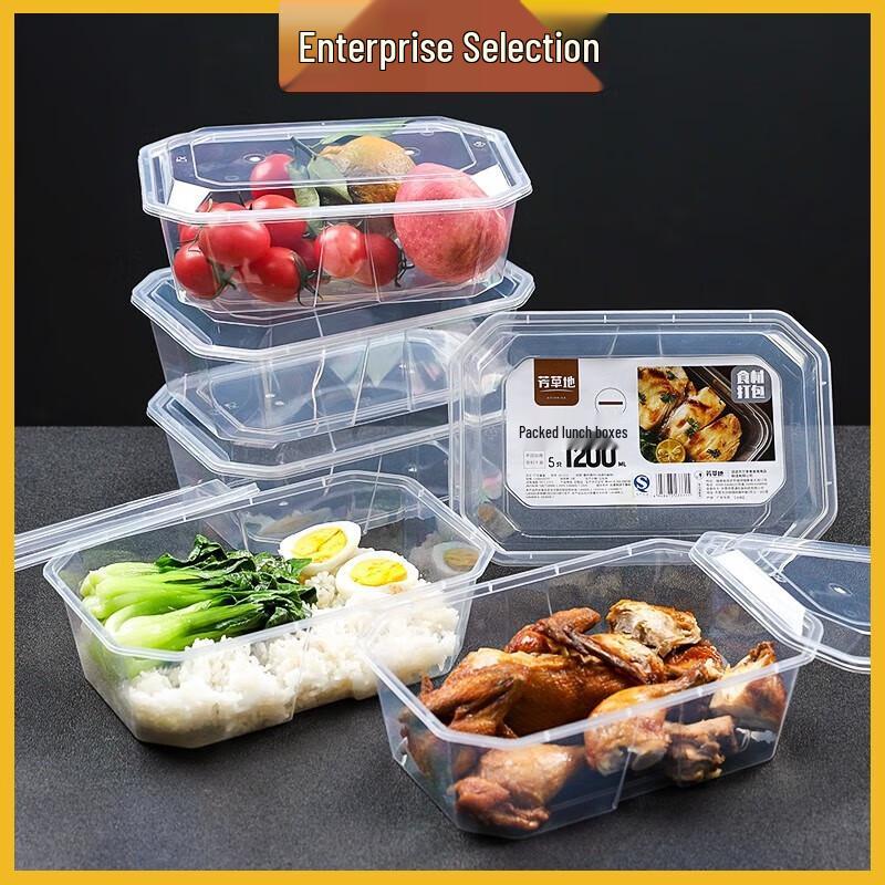 Disposable Lunch Box with Lid