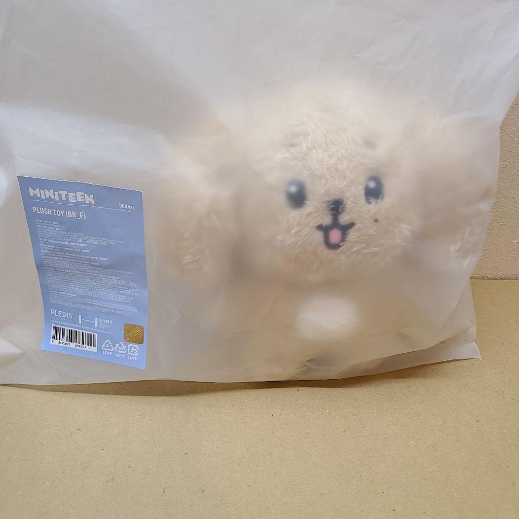 [USED] MINITEEN Dogyeom Plush Doll Door Miniteen DK