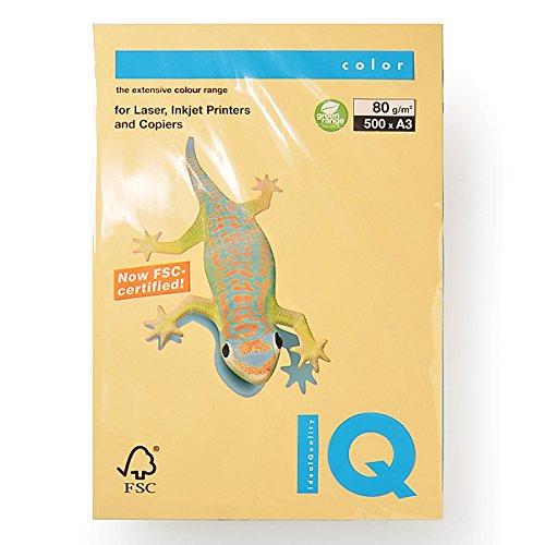 

Bio Top Color Gold A3/80g 500T