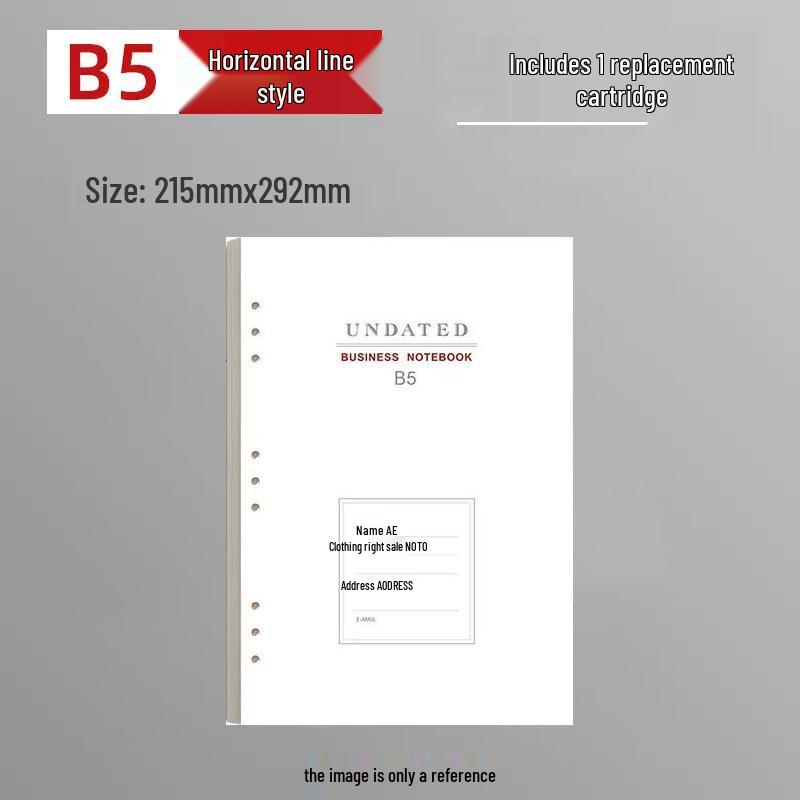 Abnehmbares B5 Hochwertiges Notizbuch-Set mit losen Blättern: Geschenk für Studenten & Geschäftsleute