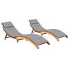 Day and Night - Day and Night Loungers 2 Units with Solid Acacia Wood Cushions