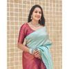 ALMAARI store is adorned with beautiful Zari work in form of traditional motifs. This beautiful saree is elegantly decorated with gorgeous