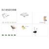 Seal Do Japan-made Roll Sticky Notes Endangered Bird Species Animals 6 Designs 4560mm 80 Sheets Full Adhesive Perforated Shinzi Katoh ks-rf-10028