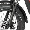 BAOLUJIE DZ-2030 Electric Bike 20*4.0'' Inch Tires 500W Motor 48V16AH Battery Max Speed 40KM/H Mechanical Disc Brakes