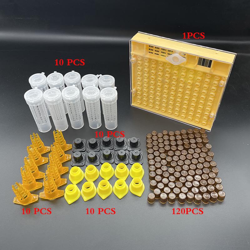 Beekeeping King Queen Bee Rearing System Box Plastic Cup Cell Protection Cover Cage Apiculture Kit Bees Tools Supplies 1 Set