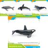 Ensemble de modèles en PVC d'animaux marins pour enfants avec des figures de cétacés réalistes pour le jeu éducatif