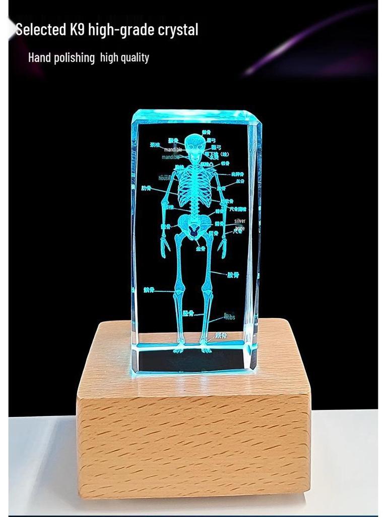 3D Carved Skeleton Brain Model Ornament - White Crystal Souvenir for Medical Students and Doctors
