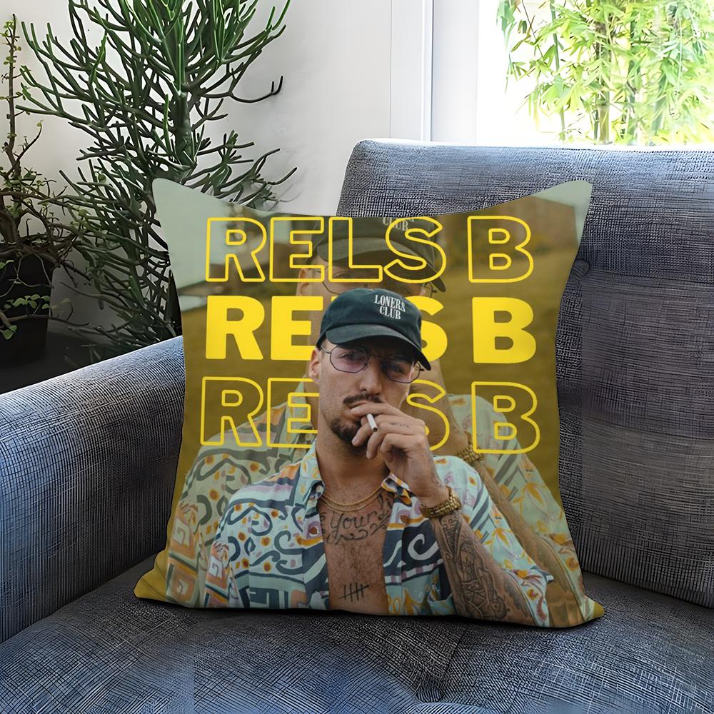Singer D-Daniel A-Avery Kissenbezug Bequem Wendbarer Kissenbezug Ideal für Auto Sofa Schlafzimmer & Mehr