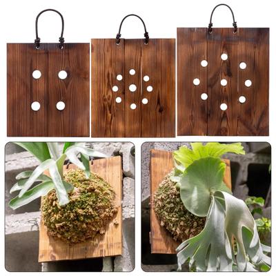 Geweihfarn Befestigungsset Holzbrett Geweihfarn Aufhänger Rustikale Wandhalterung Pflanzgefäß für Geweihfarne Orchideen Luftpflanzen Innen Außen Dekoration