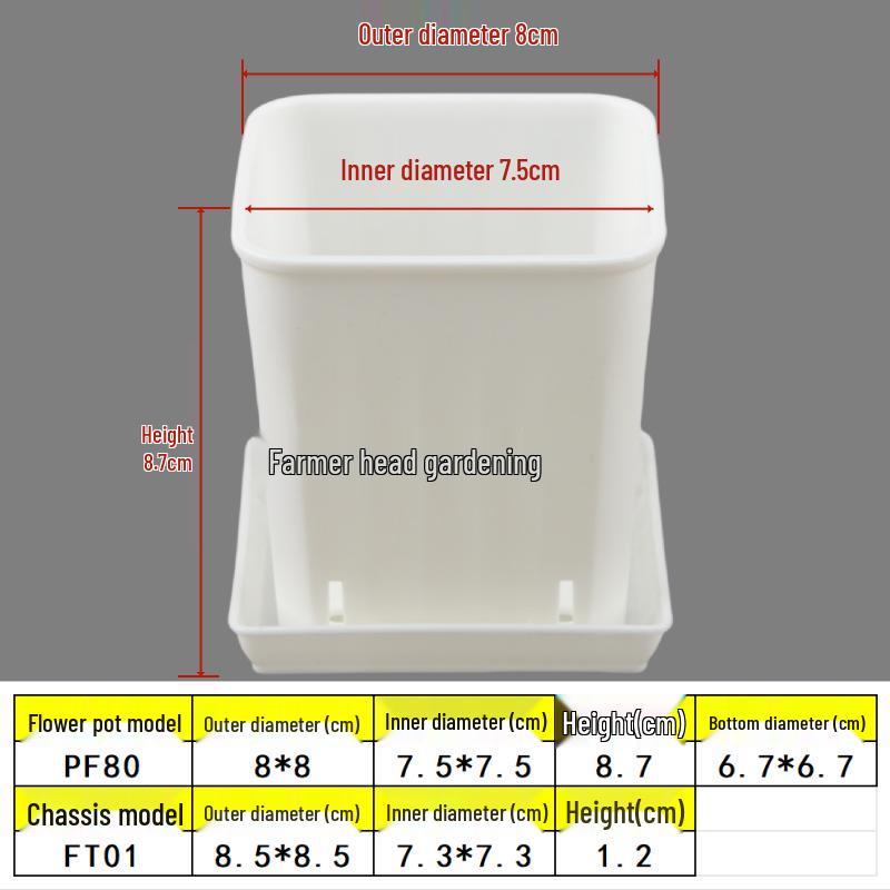 Square Root Control Succulent Pot: Short & Chubby Plastic Flower Pot for Seedlings or Kindergarten Activities