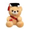 Graduation Gift Bear for Students: Doctoral, Master's, University, Kindergarten