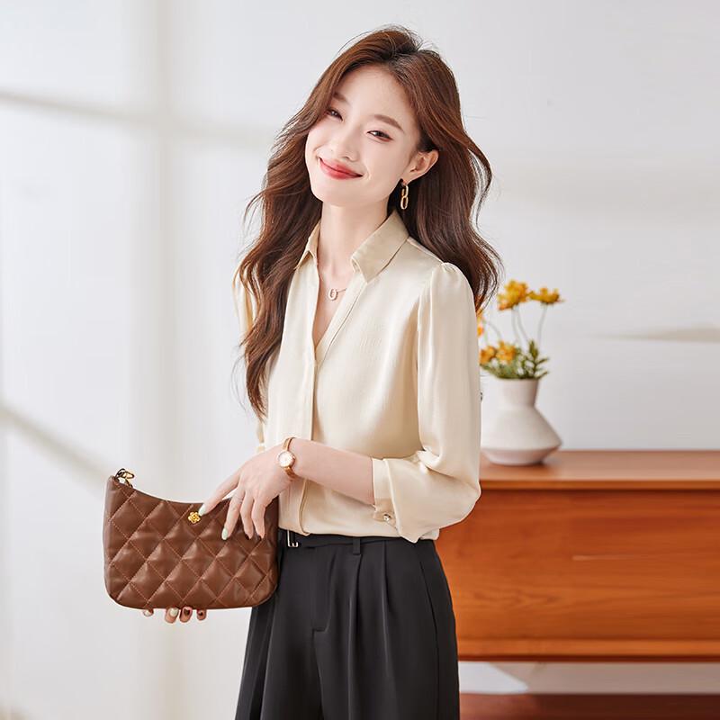 Women s Long Sleeve Professional Satin Blouse 2XL