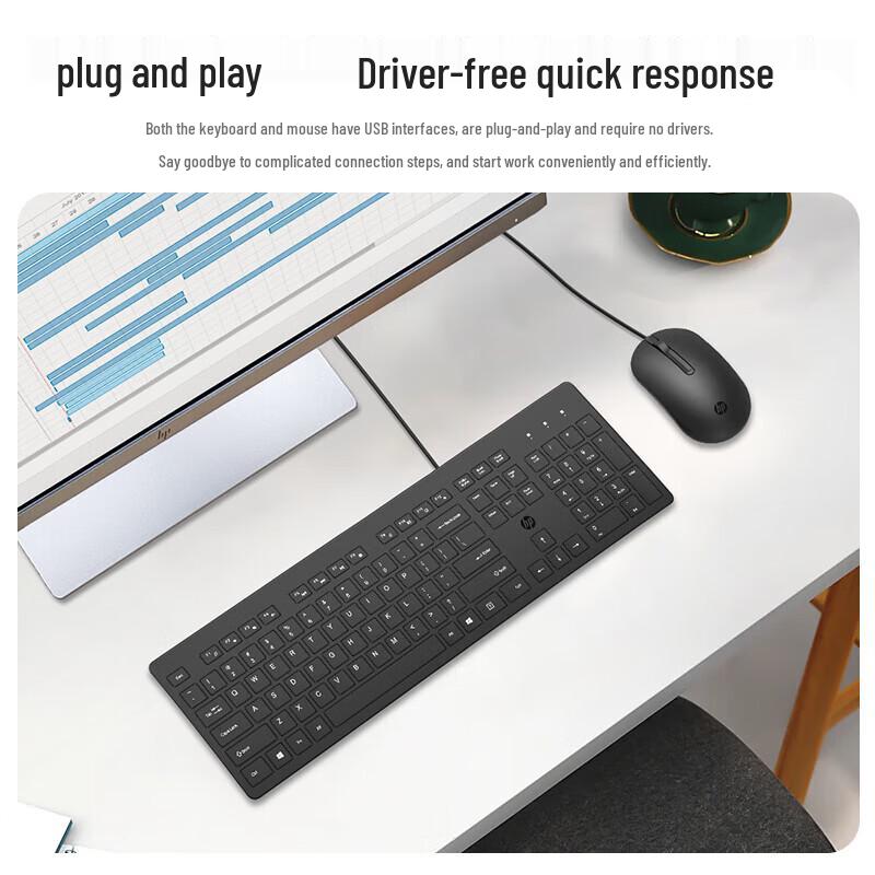 HP Wired Silent Office Keyboard and Mouse Combo