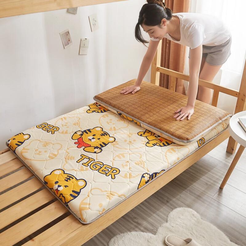 

Henton Student Foldable Tatami Mattress