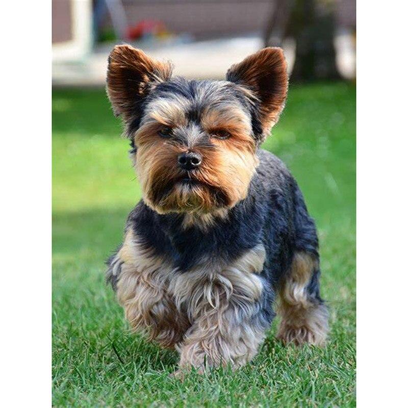 Neue 5D DIY Diamant Malerei Haustier Hund Diamant Stickerei Tier Kreuz Stich Voll Platz Runde Bohrer Handwerk Wohnkultur Manuelle geschenk