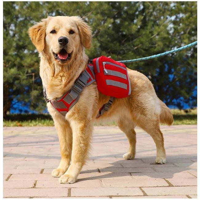 Dog Backpack Harness,outdoor Walking Strorage Bag for Puppy Daily Trips