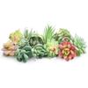 HappyHapi 12 Pcs Artificial Succulents Mini Fake Plants Unpotted Faux Succulent for Craft, Small Plastic Succulents Assortment in Flocked Green
