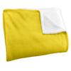 Looney Tunes Tweety Blanket