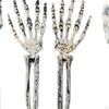 Realistic Skeleton Stakes, Creepy Arms and Legs Decorative Lawn Stakes Graveyard Decor for Backyard
