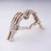 Heart Shaped Realistic Skeleton Hands Hand Bone Halloween Decoration  Love Skeleton Decoration Resin Terror Halloween Ornament