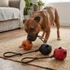 Leather Dog Training Ball Solid Texture Pet Bite Toy Safe Dog Chew Stick  Outdoor Interactive Play